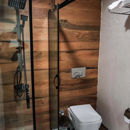 Siwiss Experess Ankara