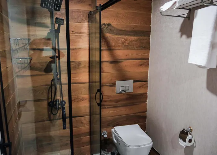 Siwiss Experess Ankara